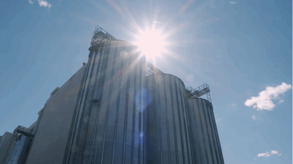 Paolo Gallo di Molino San Paolo