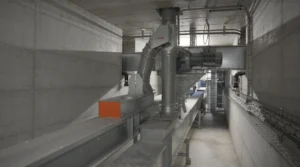 Fase di scarico del cereale nell’impianto di Rostagno Cereali